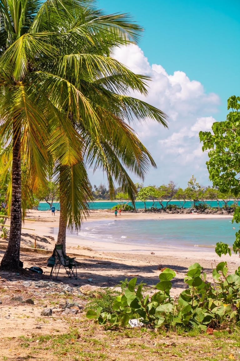 Tropical beach scene with palm tree in foreground, turquoise ocean, white sand, and people on the shore under clear blue sky