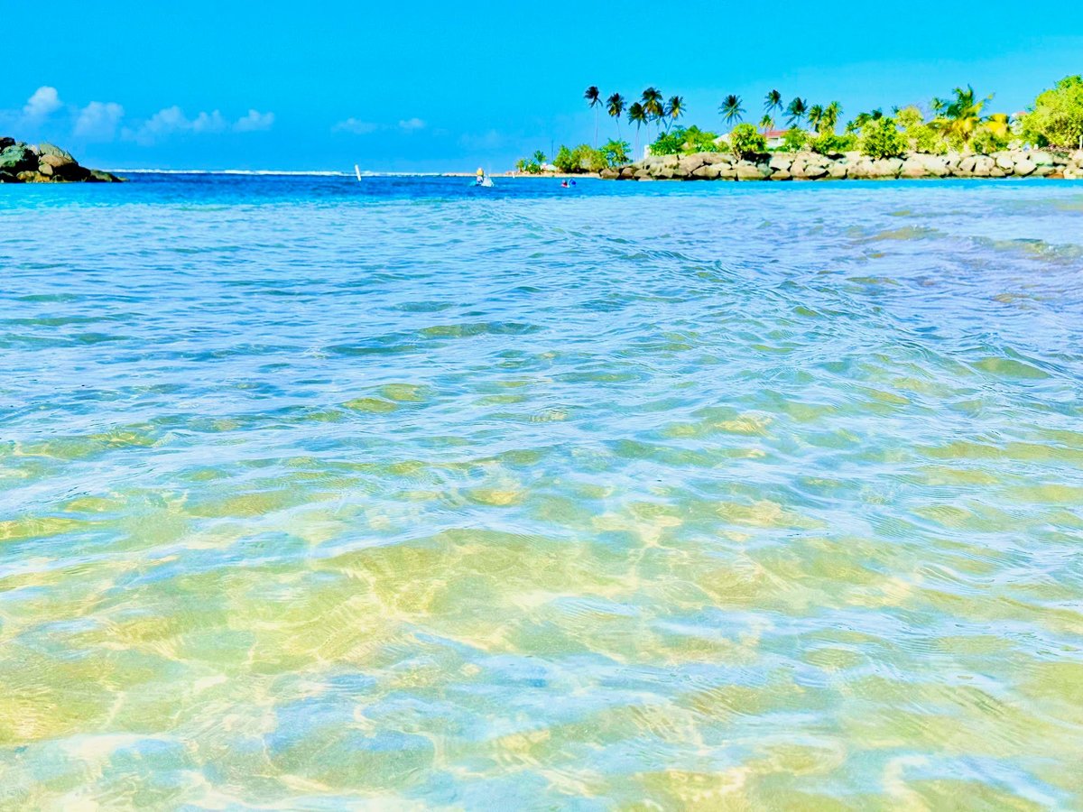 Crystal clear turquoise waters of a tropical lagoon with palm-lined white sand beach under bright blue sky