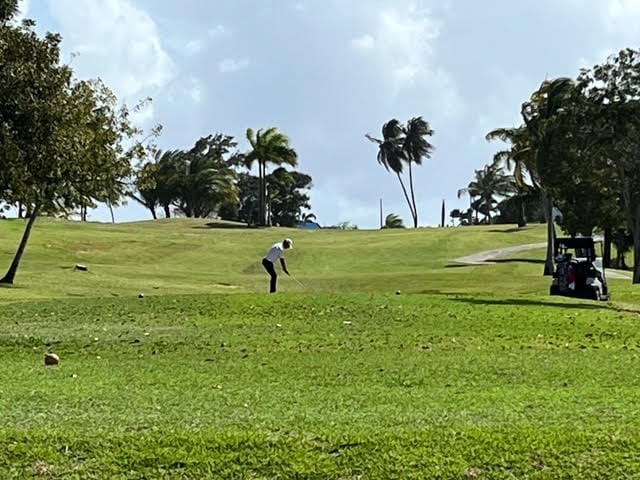 Golfer on a lush green fairway with palm trees and a golf cart visible on a tropical golf course under blue sky