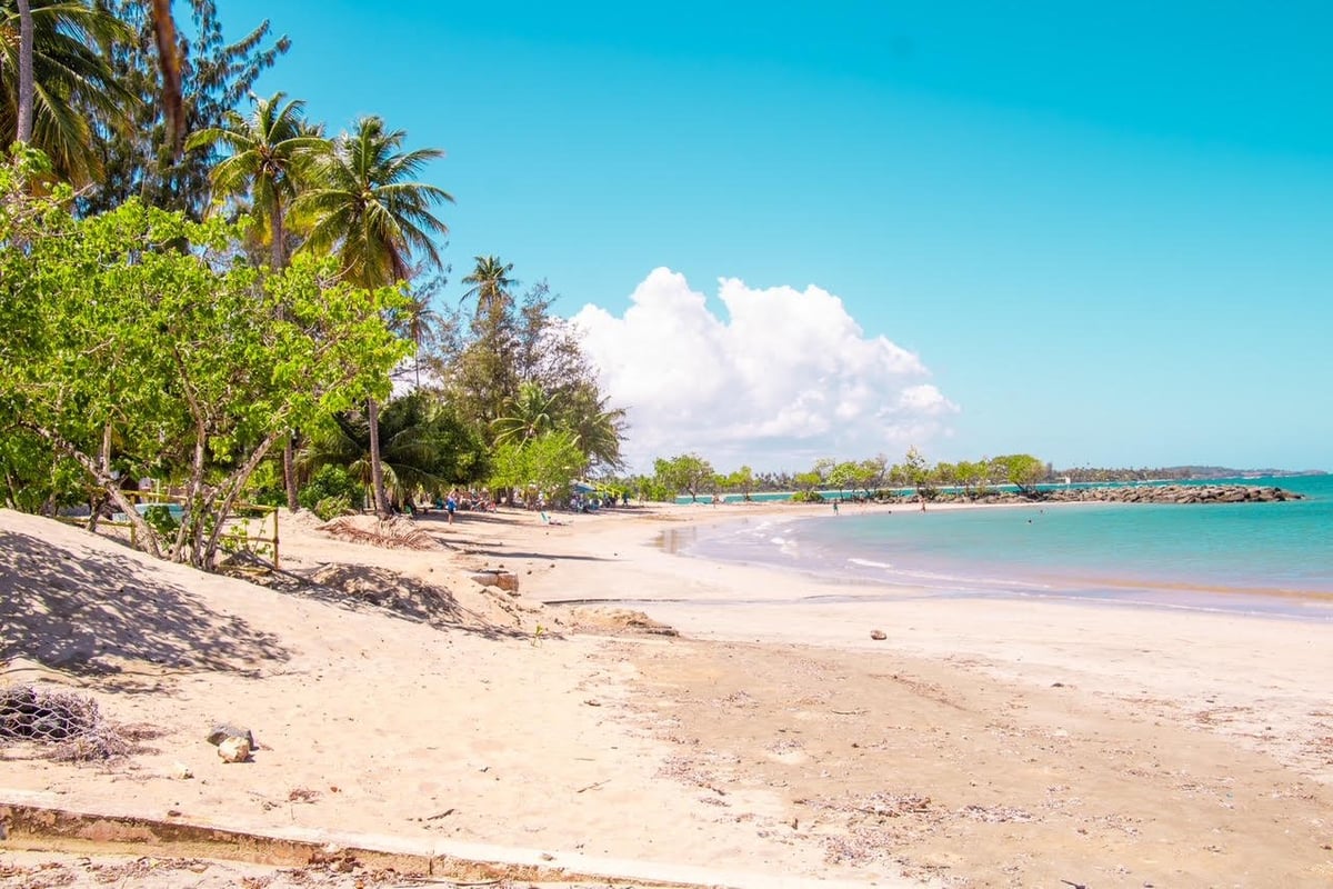 Tropical beach with white sand, palm trees, and turquoise water under clear blue sky